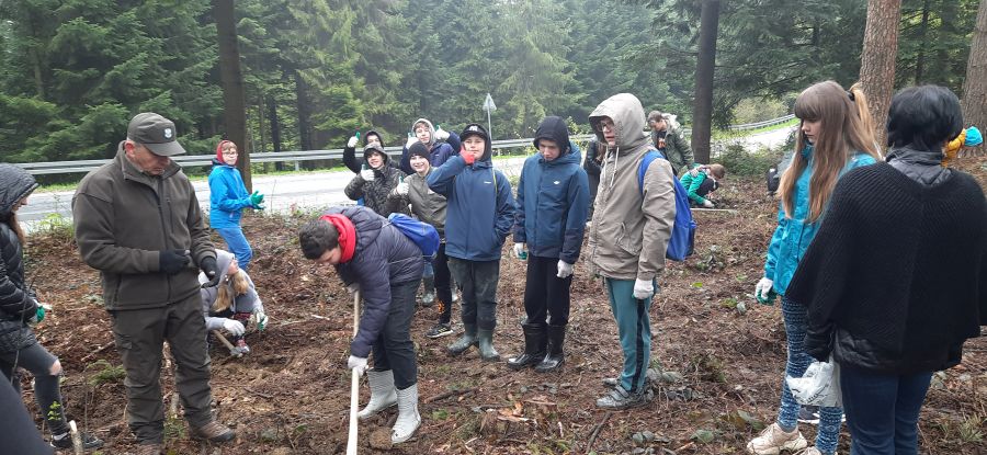 Sadziliśmy „Las pamięci Jana Pawła II”