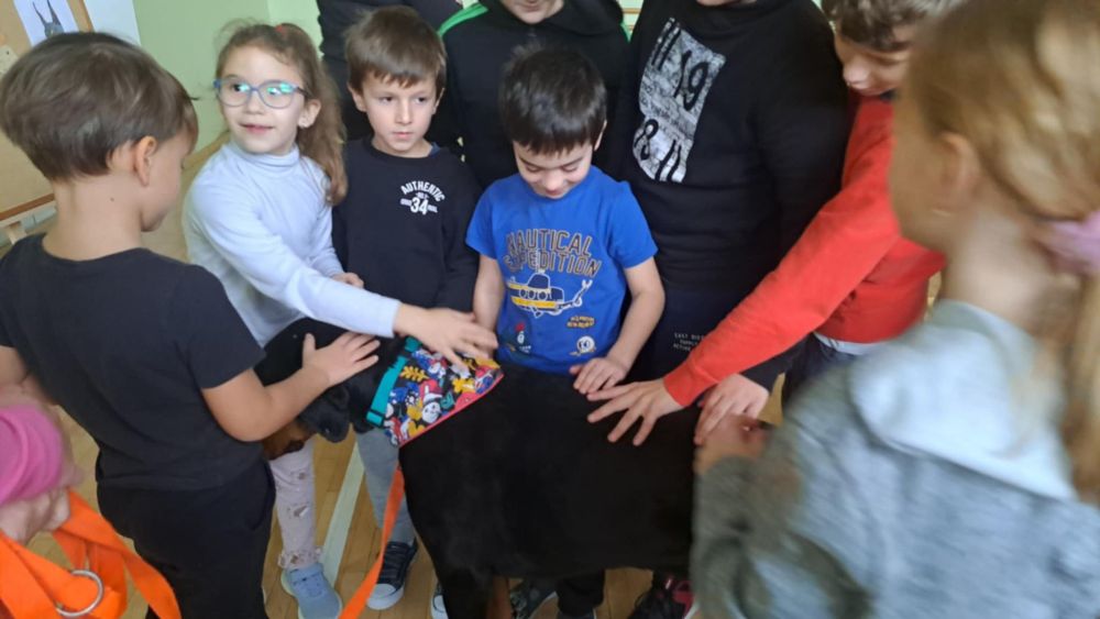 Zbiórka dla Burusia i Burka
