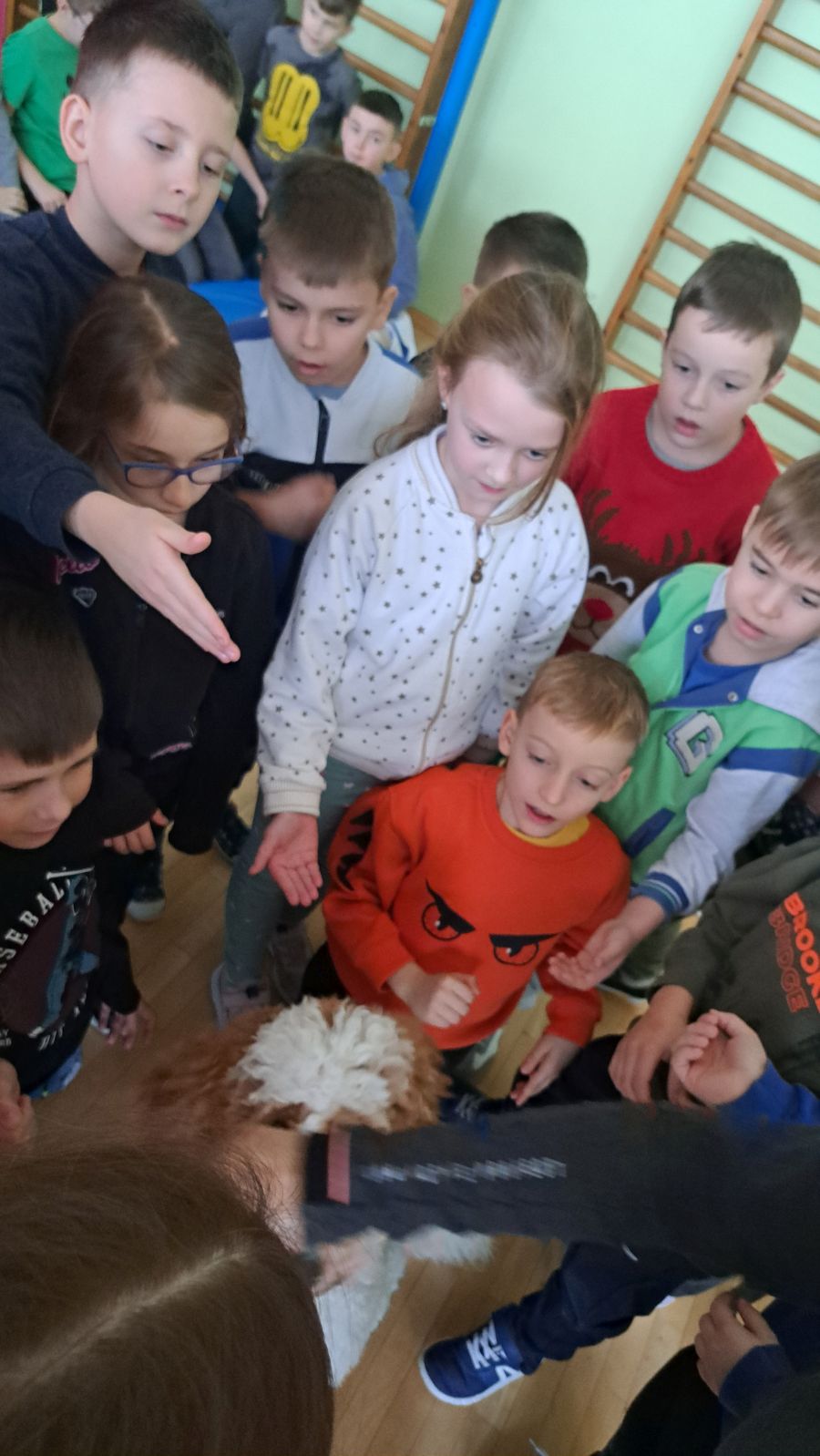 Zbiórka dla Burusia i Burka