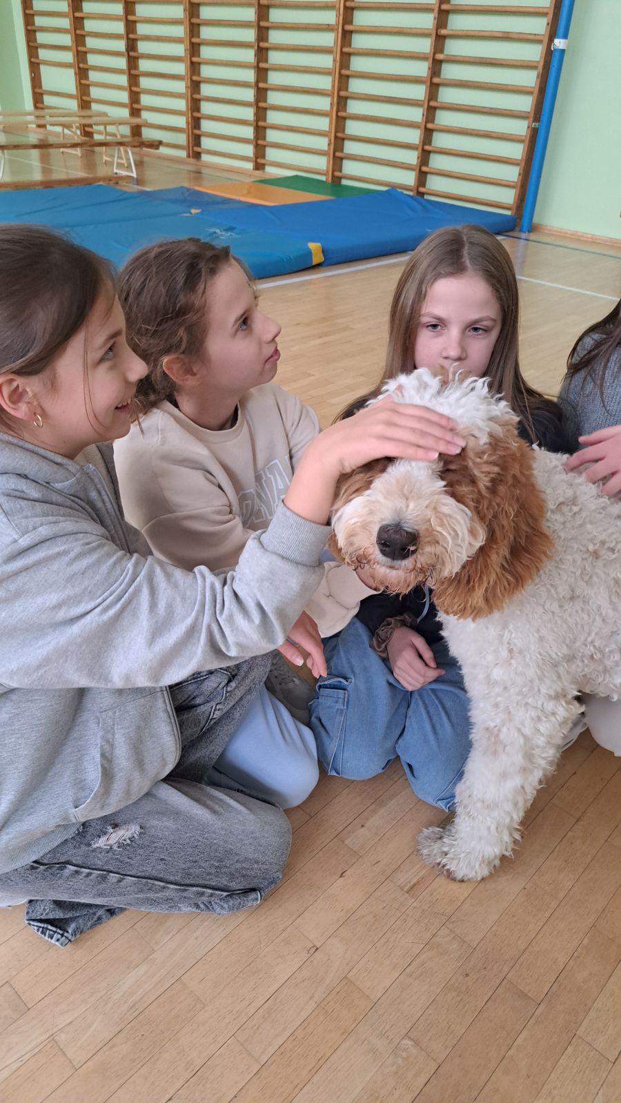 Zbiórka dla Burusia i Burka